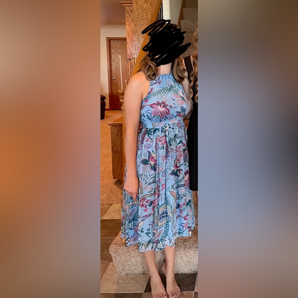 Anthropologie Blue Midi Dress